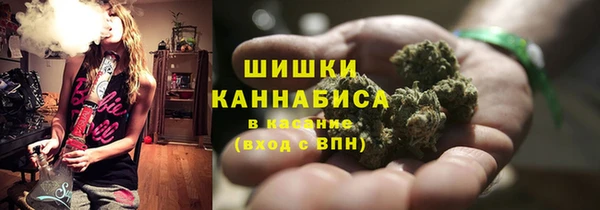 гидропоника Абаза