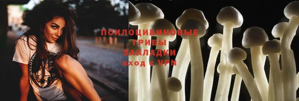 гидропоника Абаза