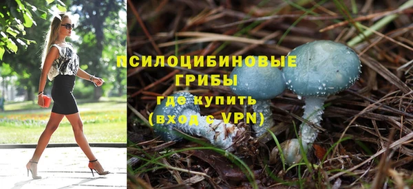 герыч Щучье