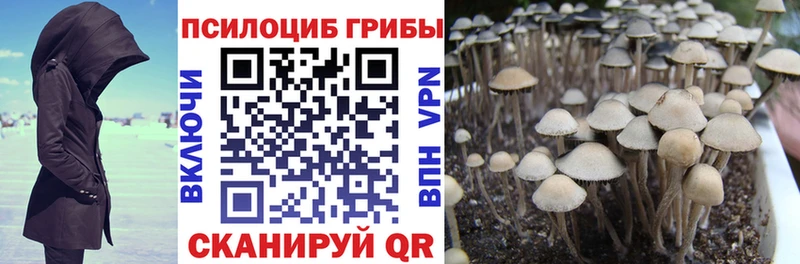 сколько стоит  Серпухов  Галлюциногенные грибы ЛСД 